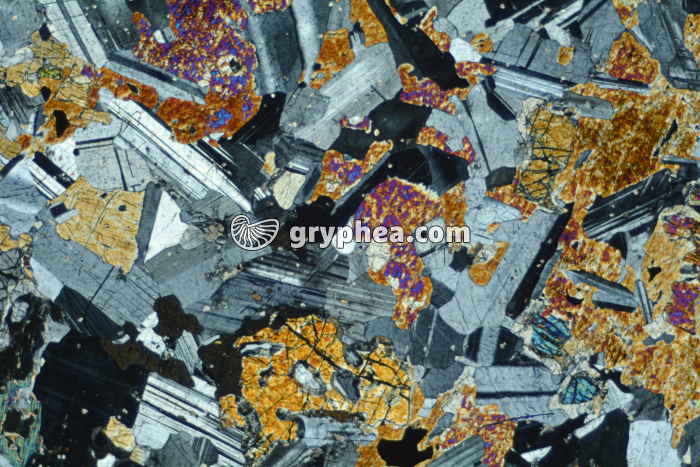 Gabbro LPA x6,3 - gryphea.com